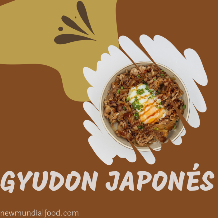 Gyudon Japonés